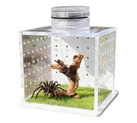 Enclos d'araignée sautante avec lumières - Terrarium en acrylique pour petits ermites, crabes, escargots et tarentules
