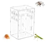 Enclos d'araignées - Acrylique - Terrarium pour reptiles - Boîtier en acrylique - Habitat durable et transparent pour araignées, tarentues, scorpions, insectes, petits reptiles, élevage, observation