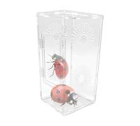 Enclos en acrylique pour araignées - Petit habitat de reptile pour grenouille | Accessoires d'alimentation respirants et sécurisés pour adultes, garçons, adolescents, famille et filles