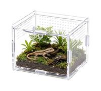 Enclos Mante Religieuse Réservoir Transparent En Acrylique | Terrarium Tarentule Et Cage Bernard-L'Ermite Pour Grenouille, Crabe Ermite, Lézard, Tortue, Alimentation, Escalade,
