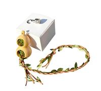 Enclos moderne en acrylique pour animaux de compagnie, habitat convivial pour les araignées sauteuses, comprend des cachettes et une maison d'araignées sauteuses ventilée, cage transparente pour