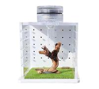 Enclos pour araignées, cage à araignées, bac transparent pour tortues, boîte d'élevage pour Praying Mantis Habitat, petit bassin pour reptiles avec humidificateur léger et ouverture d'alimentation