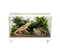 Enclos pour araignées Enclos à lézard transparent anti - évasion et ventilé