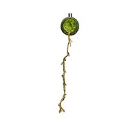 Enclos pour Araignées | Habitacle Grillagé Magnétique pour Araignée Sauteuse,Décoration de Terrarium pour Exploration Repos Nourriture Coléoptères Grenouilles Grillons Reptiles Scolopendres