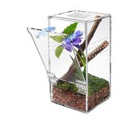 Enclos pour araignées - Habitat Transparent et Ventilé | Terrarium Reptiles Boîte d'alimentation Araignée | pour Mante Cafard Grillon Gecko Lézard Mille-Pattes et Petits Animaux d'Intérieur