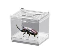 Enclos pour araignées sautantes, mangeoire, habitat ventilé, pour projets scientifiques, appartement, présentoirs éducatifs, avec sécurisée, design transparent, observation facile, pour petites