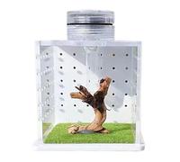 Enclos pour araignées sautantes, réservoir transparent pour tortues, 8 x 6,5 x 6,5 cm, petit port pour amphibiens et invertébrés, abdos