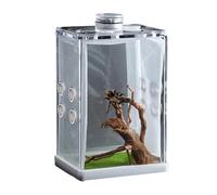 Enclos pour araignées sautantes | Réservoirs d'élevage de poissons | Accessoires de clôture, récipient d'alimentation, cage à araignée, poissons et animaux aquatiques pour petits reptiles