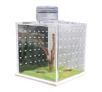 Enclos pour araignées sautées, cage d'araignée - Enclos transparent pour oiseaux - Boîte d'élevage de nourriture avec humidificateur d'air léger, enclos pour reptiles, petits reptiles, amphibiens et