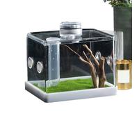 Enclos pour Araignées Sauteuses - Cage en Acrylique pour Insectes Et Tarentules | Élevage De Poissons Et Réservoir d'animaux Aquatiques | Réservoir D'enceinte LED pour Insectes Bâtons Sauteurs