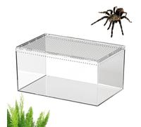 Enclos pour araignées sauteuses - Terrarium acrylique pour reptiles - Terrarium serpent - Pour geckos, serpents, caméléons, tortues et autres