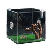 Enclos pour araignées sauteuses - Terrarium | Vivari, boîte d'élevage de petits insectes pour animaux de compagnie, cage pour reptiles à 360 degrés, mini boîte de transport pour amphibiens en