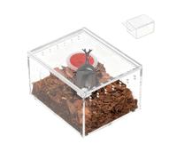 Enclos pour Grenouilles Boîte Transparente d'Élevage et Nourrissage