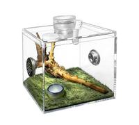 Enclos pour Mygale,Boîte d'Élevage Transparente destinée aux Animaux de Compagnie | Terrarium pour Escargot,pour Salon, manthe Religieuse, Petite Faune