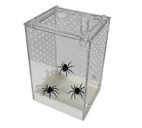 Enclos pour petits reptiles - Boîte d'élevage ventilée, récipient transparent pour habitat d'insectes | Unité de configuration du système de boîtier de boîtier de réservoir d'affichage extérieur intér