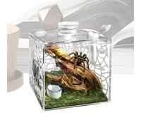 Enclos pour tarentules - Boîte d'élevage transparente en acrylique, grande verticale avec ventilation supérieure, plastique haute transparence, design d'espace empilable, pour salon intérieur, habitat