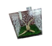 Enclos Transparent pour Animaux de, 6.5 cm Climbing Mode | Plusieurs côtés de visualisation, structure d ' ouverture intégrée, boîtier dédié logement Katydid et soins de