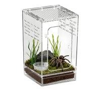 Enclosure Acrylique pour Araignées Sauteuses | Terrarium Ouverture Double Ventilation Latérale, 15x15x25cm | Habitat Arboricole pour Reptiles Et Mygales | Cage Transparente pour Insectes Passion
