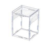 Enclosure pour araignées sauteuses Boîte Animale en Acrylique Transparente