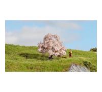 Encore 20147 - Kirschbaum Neuf