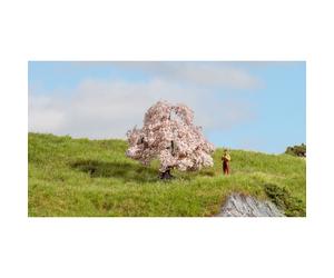 Encore 20147 - Kirschbaum Neuf