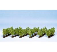 Encore 21545 Vignes Spur N/Z NEUF