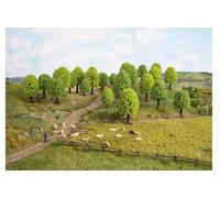 NOCH Lot de 25 arbres Hobby 26801 – Forêt de feuillus 50 à 90 mm
