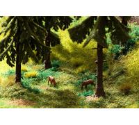 Encore 60772 Vegetations-Start Set "Wald