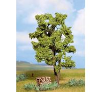 Noch Arbres modélisme ferroviaire 21660 Acacia multi-tronc 15 cm Petit