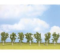 Assortiment d'arbres bouleau NOCH 25096 100 à 100 mm vert 7 pc(s)