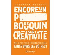 Encore un p***** de bouquin sur la créativité: Arrêtez de vouloir toujours plus d'idées, faites vivre les vôtres