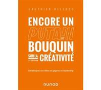 Encore un putain de bouquin sur la créativité Gauthier Helloco (Auteur)