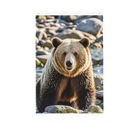 Encounter Drapeau de bienvenue en forme d'ours animal pour jardin, 6,1 x 0,9 m, ne se décolore pas, drapeau double face pour maison, cour, porche, pelouse