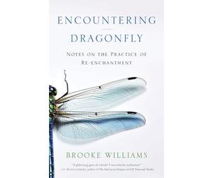 Encountering Dragonfly: Notes on the Practice of Re-enchantment