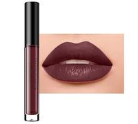 Encre à Lèvres Liquide Mate, Waterproof No Transfert Rouge à lèvres, Rouge a Levre Mat Longue Tenue, Haut pigmenté Rouge a Levre Mat, Résistant à la Transpiration Maquillage Pour les lèvres