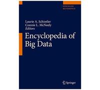 Encyclopedia Of Big Data