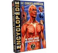Encyclopédie : Le corps humain E