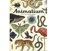 Jenny Broom – Encyclopedium - Animalium – Cartonné – Casterman
