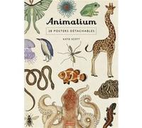 Katie Scott – Encyclopedium : Animalium – 28 posters détachables – Casterman