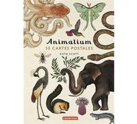 Katie Scott – Encyclopedium: Animalium – 50 cartes postales – Casterman
