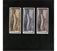 End of Line - End of Line