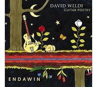 Endawin-Guitar Poetry/David Wildi