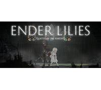 ENDER LILIES: Quietus of the Knights (PC)