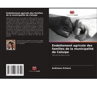 Endettement Agricole Des Familles De La Municipalité De Catuípe