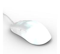 ENDGAME GEAR OP1 RGB Gaming Mouse - Capteur de précision, Interrupteurs Kailh GX Switches, White Frost, Éclairage RGB