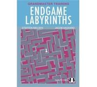 Endgame Labyrinths by Jacob Aagaard Jacob Aagaard (Auteur)