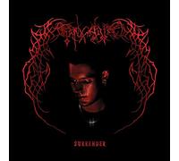 Endgame - Surrender (Colour) [Import]