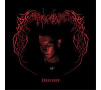 Endgame – Surrender – Vinyle 12" coloré (Import) – Cargo Records