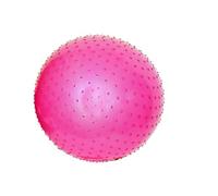 ENDLESS Ballon de Yoga Anti-éclatement de 65 cm | Ballon d'exercice en PVC épais pour Fitness, Pilates, stabilité et entraînement de Gym à Domicile | Chaise Ballon d'équilibre pour Hommes et Femmes |