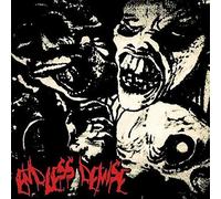 Endless Demise / Podrido - Split